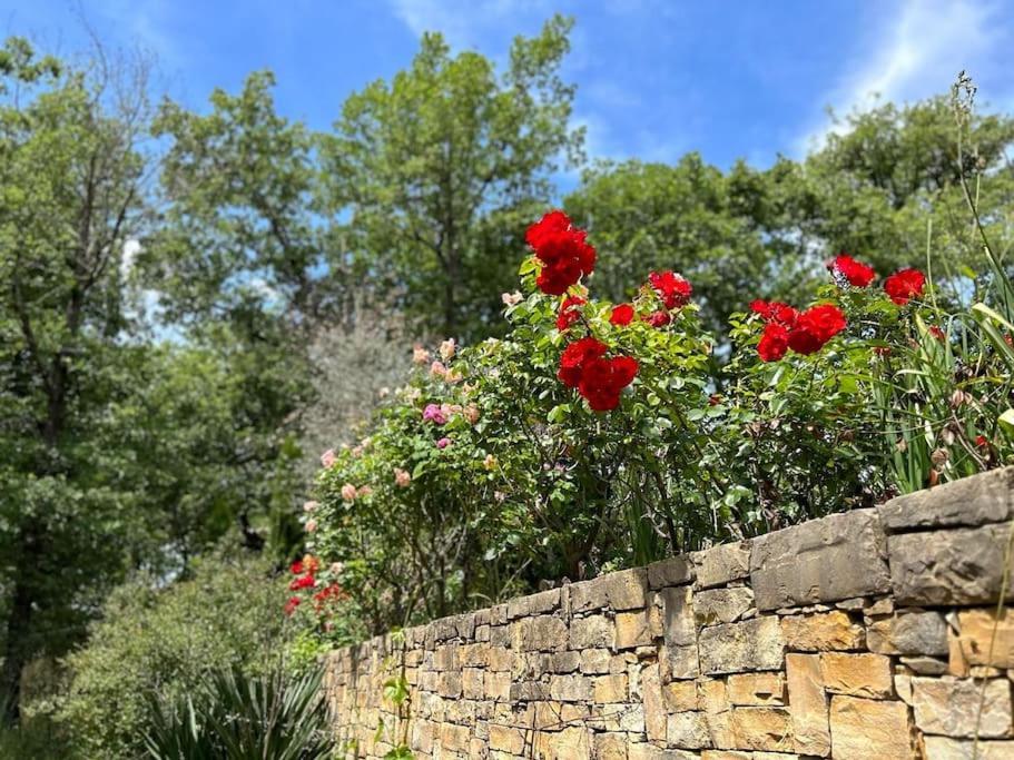 L'eden De L'esterel Villa *